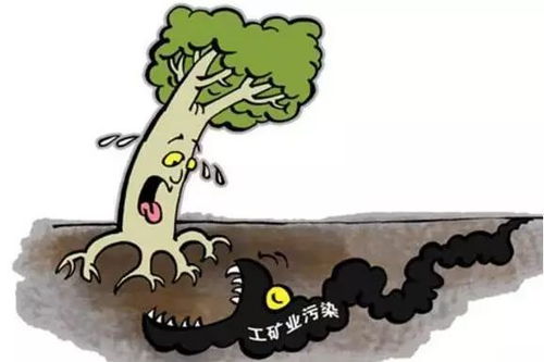 我国推进土壤修复的主要举措与成效