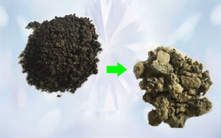 立昌环境 深耕生态修复领域的绿色先锋